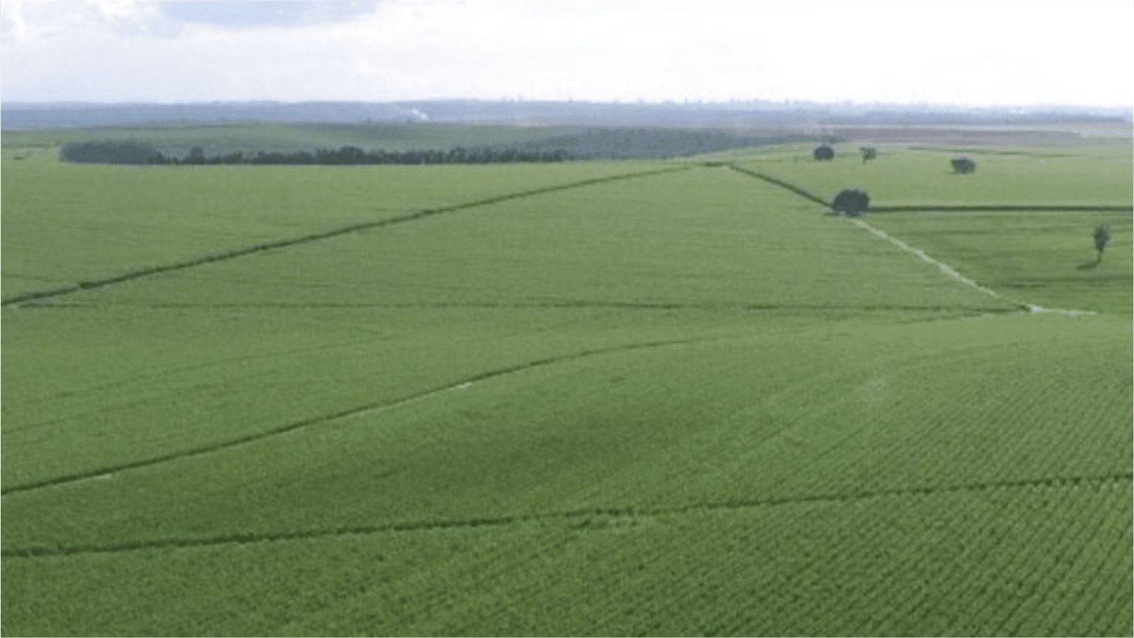 Vista aérea de grande área de lavoura, ilustrando avanços do agro no ESG